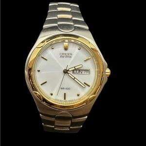 Citizen Eco-Drive Gold and Silver Men's Watch